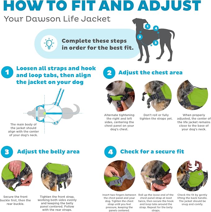 Outward Hound Dawson Swim Green Dog Life Jacket, Small
