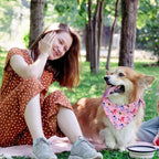 Sweetude 100 Pcs Dog Bandanas Bulk Dog Bandana Bibs Pet Bandanas with Captions Adjustable Cat Outfit Washable Triangle Scarf Kerchief for Small to Medium (Cute)