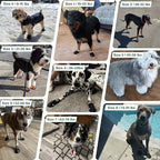 Dog Shoes for Large Dogs, Anti-Slip Dog Boots for Winter Snow, Hot Pavement, Dog Booties & Paw Protectors Pink Size 7