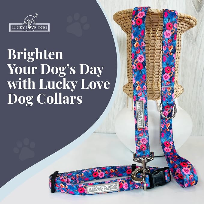 Lucky Love Dog - Adjustable Dog Collar with Easy Click Buckle for Small Dogs, Durable, & Comfortable Collar for Male & Female Dogs, Pet Collar for Puppies & Adult Dogs - Zuzu, XS