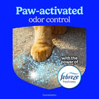 Fresh Step Advanced Extreme Clump Multi Cat Clumping Litter with Febreze Freshness, Mountain Spring Scent, Ammonia Block Technology, Low Dust, Low Tracking, 18.5 lb. Box, Pack of 2 | Forms Tight Clumps, Easy To Scoop, Scented, Ammonia Block Technology,...