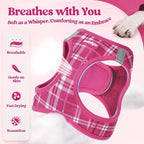 rabbitgoo Dog Harness Medium Sized and Leash Set, Step-in Puppy Pet Vest | Light, Soft, Breathable Air Mesh, Easy on and Remove with Hook & Loop, Secure Reflective for Walking, Rose Red Plaid L