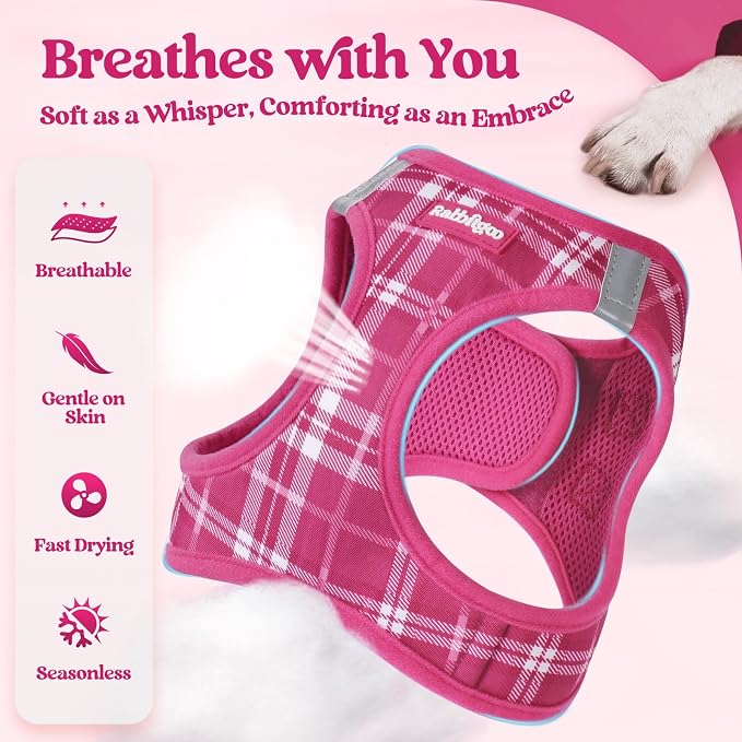 rabbitgoo Dog Harness Medium Sized and Leash Set, Step-in Puppy Pet Vest | Light, Soft, Breathable Air Mesh, Easy on and Remove with Hook & Loop, Secure Reflective for Walking, Rose Red Plaid L