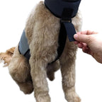 CoolerDog Dog Cooling Vest & Cooling Collar – Ice Vest for Hot Weather Heat Relief, Re-Freezable Pure Water Inserts (Small 18”–22” Girth)