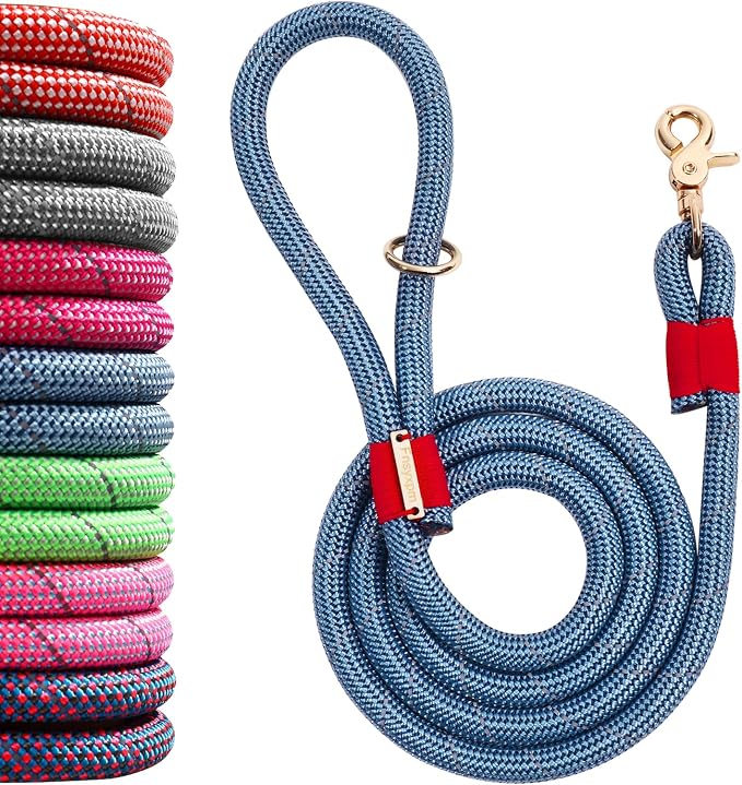Nylon Rope Dog Leash, Blue, 5 FT - 3/5" | Reflective, Handmade Braided, Heavy Duty, For Medium Large Dogs