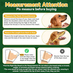 WinWeal Upgraded Soft Dog Cone Collar for Large Medium Dogs After Surgery – Adjustable Transparent Recovery Collar, Breathable Elizabethan E-Collar for Wound Healing & Anti-Licking (XXL, Dark Green)