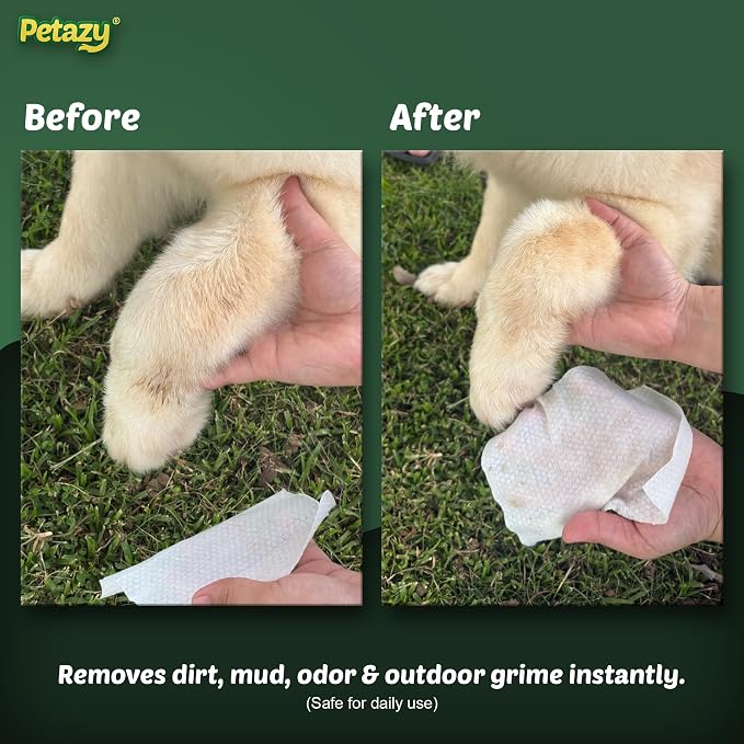 Pet Wipes for Dogs and Cats – 400 Count (8x8in) Hypoallergenic, Deodorizing Dog Wipes for Paws, Ears and Butt | XL with Aloe & Coconut Oil, Chamomile Scented | Includes 4 Grooming Glove Wipes