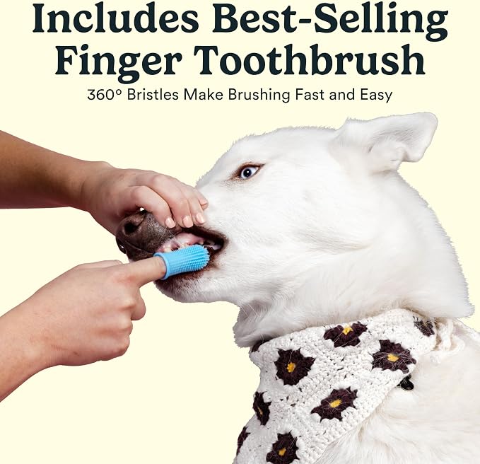 Jasper Dog Tooth Brushing Kit and Dog Toothpaste (Chicken) Kit 360 | Vet Approved Pet Tooth Paste & ToothBrush, Freshens Breath, Whitens Teeth, Plaque and Tartar Remover for Teeth