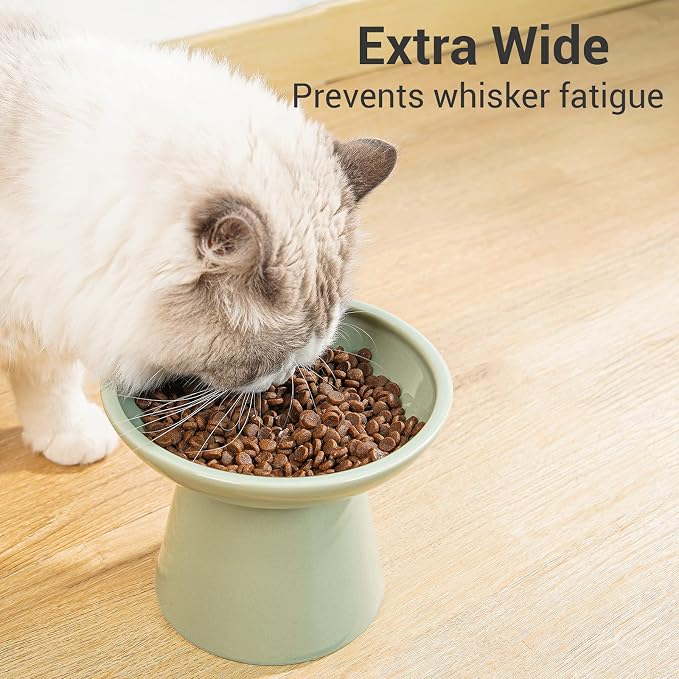 CEEFU 2-Pack Extra Wide Elevated Ceramic 6.2" Shallow Cat Food Bowls | Cat Dish for Whisker Fatigue Relief, 5" Height for Easy Feeding, Durable Raised, Sage Green