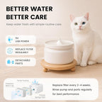 Replacement Pump with 3 Filters for 1L/37oz Cat Water Fountain