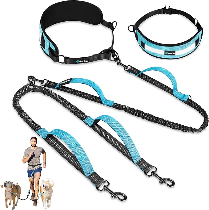 PetAmi Hands Free Double Dog Leash with Padded Lumbar Waist Belt, 360 No-Tangle Swivel Coupler, Bungee Shock Absorbing Dual Leash for Two Dogs Medium Large, Reflective, Turquoise