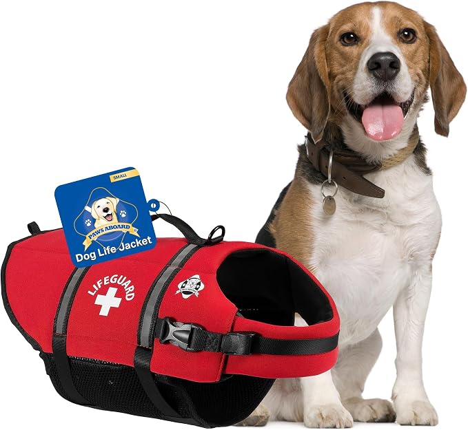 Doggy Lifejacket Neoprene Red Small