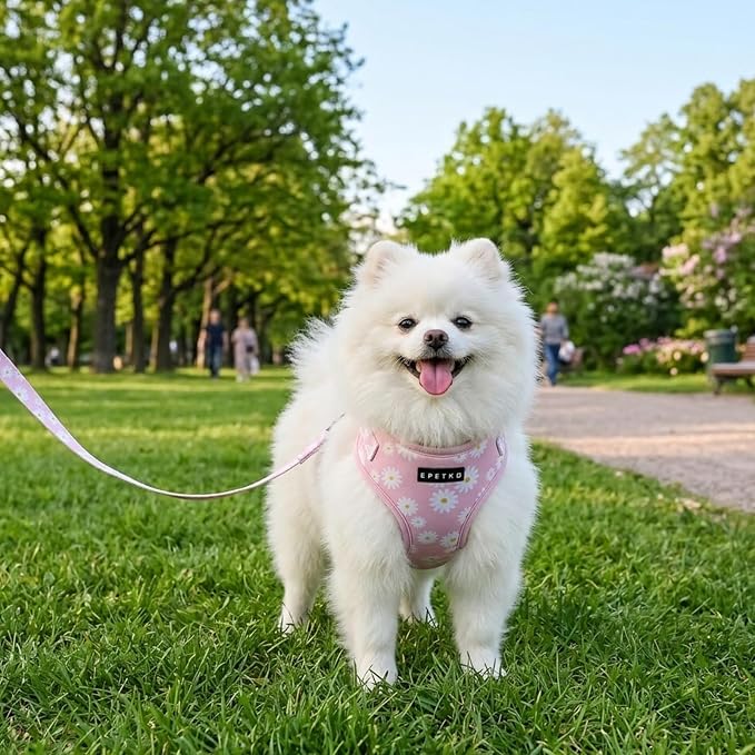 Small Dog Harness and Leash Set of 6, No Pull Soft Lightweight Mesh Puppy Harness， Adjustable Cute Floral Pattern Pet Harness for Small Medium Dogs (Pink Flowers, S)
