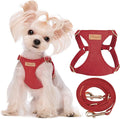 Puppytie XS Dog Harness and Leash Set, Red Hawthorn, XS (4.5-11 lbs) | Extra Small Dog Harness, Puppy Harness and Leash, Soft Lightweight and Adjustable, Xsmall Dog Harness for Daily Walks