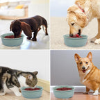 Wordcam 28oz Ceramic Dog Bowls, Durable Modern Pet Food and Water Bowls for Small Medium Dogs and Cats, Replacement Bowls for Wordcam SS02 Model (Light Green)