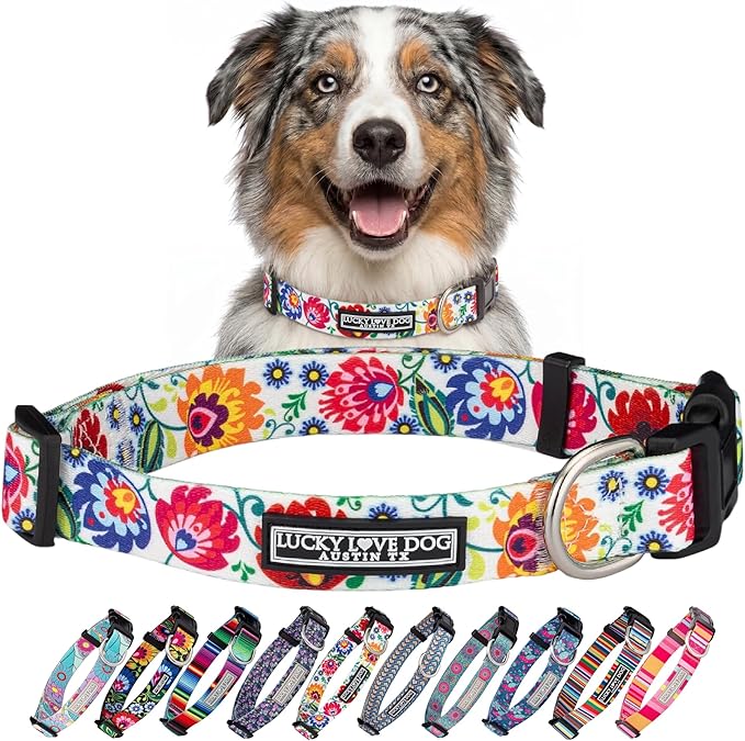 Lucky Love Dog - Adjustable Dog Collar with Easy Click Buckle for Medium, Durable, & Comfortable for Male & Female Dogs, Pet Collar for Puppies & Adult Dogs - Ladybird, Medium