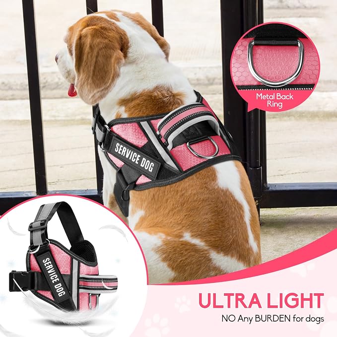 Service Dog Vest Harness and Leash Set, Animire in Training Dog Harness with 10 Dog Patches, Reflective Dog Leash with Soft Padded Handle for Small, Medium, Large, and Extra-Large Dogs (Rosy,XS)