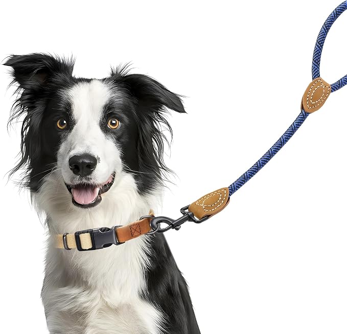 Mile High Life Short Dog Leash with Genuine Leather Connection | Rope Leash, Heavy Duty 360° Swivel Metal Clasp, for Small Medium & Large Dogs (Blue, 48 Inch)