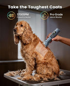 oneisall Professional Dog Clippers 8 Metal Combs with Carring Case | 3700SPM 2-Speed, 2600mAh Swappable Battery, Low Noise Dog Grooming Clippers for Thick Long Curly Matted Hair