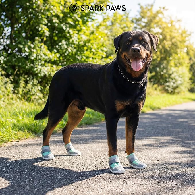 Spark Paws 365 Dog Shoes - All-Season Boots for Winter Snow & Hot Pavement | Water-resistant, anti-slip, stay-on straps - rain, ice & summer booties in one. Reflective; small, medium & large dogs