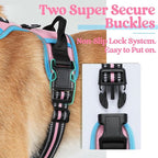 rabbitgoo Dog Harness, No Pull for Large Dogs with 2 Leash Clips, Pet Vest | No Choke with Handle, Adjustable Soft Padded, Reflective, Easy Control for Walking, Pink & Blue, Large