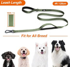 TwoEar 4FT 1IN Strong Green Dog Leash with 2 Padded Handles, Traffic Handle Extra Control, Comfortable Soft Dual Handle, Auto Lock Hook, Reflective Walking Lead for Small Medium and Large Dogs