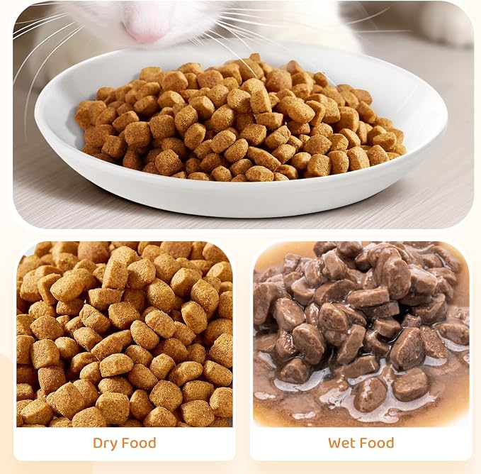 Ceramic Cat Food Plates: Cat Wet Food Bowls/Whisker Fatigue Cat Dishes & Shallow Bowls for Kittens and Small Animals | For wet/dry food; fits kittens, rabbits, hamsters; microwave & dishwasher safe; stable fishbone design