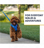 Ruffwear, Front Range Dog Leash, 5 ft Lead with Padded Handle for Everyday Walking, Basalt Gray