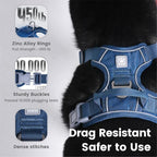 Pawaii No Pull Dog Harness with Pet ID Tag, Reflective Vest | Built for safer walks with a QR Pet ID Tag, front no pull clip, reflective trim, control handle and breathable mesh lining