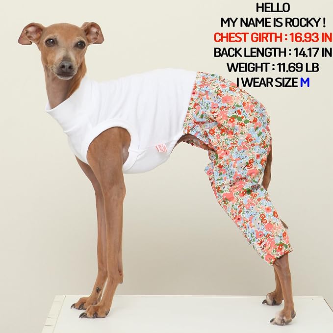 D Doggy Star Italian Greyhound Clothes Mombbe Onesie Outfit Whippet for Dog Coat (2XL,Mombbe Orange)