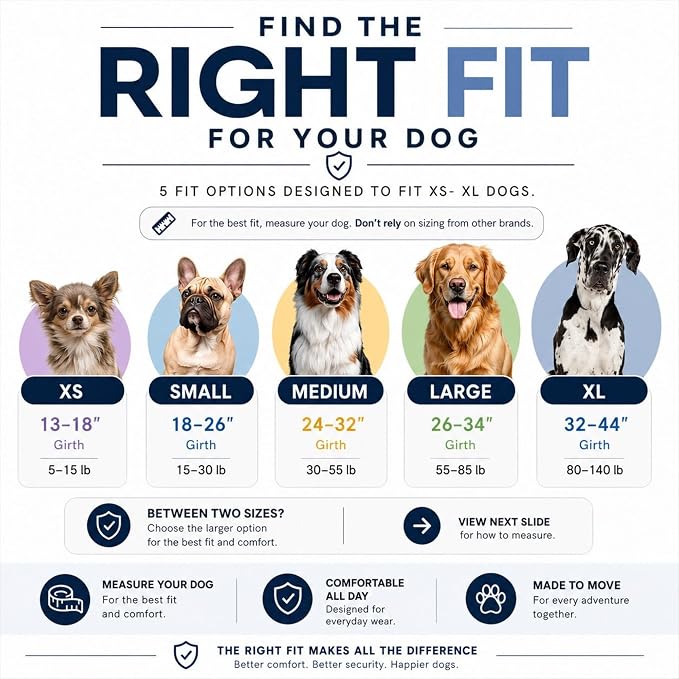 ShawnCo Essential Dog Harness, No-Pull Pet Vest with 3 Leash Clips, No Choke, Reflective, Adjustable and Padded, for Easy Walking and Training for Small, Medium and Large Dogs (Military Camo, M)