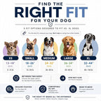 ShawnCo Essential Dog Harness, No-Pull Pet Vest with 3 Leash Clips, No Choke, Reflective, Adjustable and Padded, for Easy Walking and Training for Small, Medium and Large Dogs (Orchid, M)