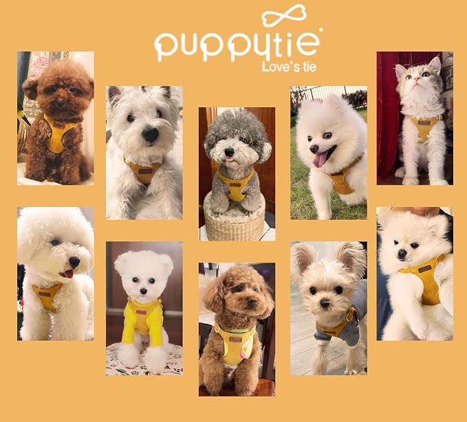 Puppytie XS Dog Harness and Leash Set, Yellow, XS (4.5-11 lbs) | Extra Small Dog Harness, Puppy Harness and Leash, Soft Lightweight and Adjustable, Xsmall Dog Harness for Daily Walks