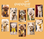 Puppytie XXS Puppy Harness and Leash Set, Yellow, XXS (2.2–6 lbs) | Puppy Harness for Small Dogs, Teacup and Yorkie Harness, Soft Lightweight and Adjustable, Small Puppy Harness for Daily Walks
