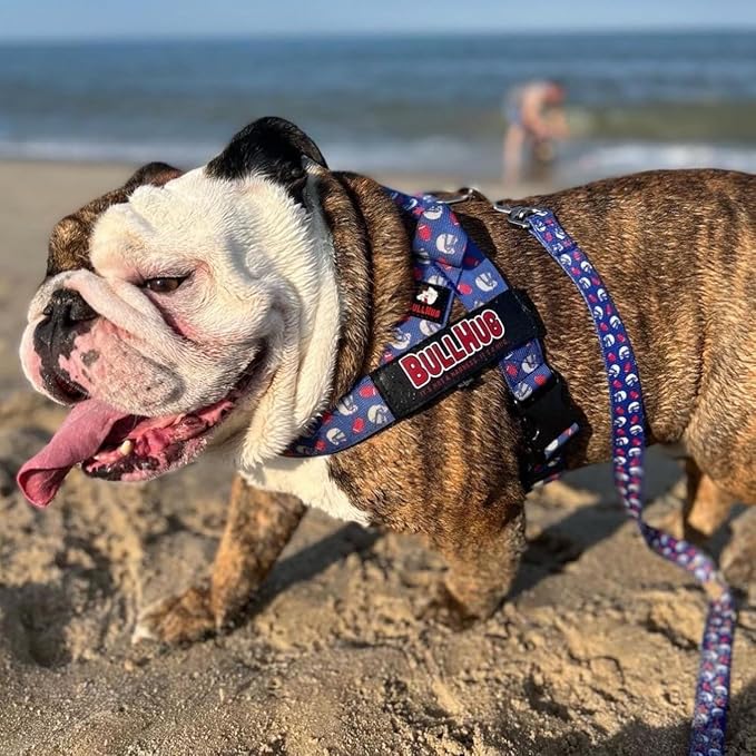 BULLHUG Adjustable Dog Harness– No Pull, No Choke – for English Bulldogs, French Bulldogs, Pugs & Broad-Chested Breeds – Easy, Safe Walks (Blue Burger, Small)