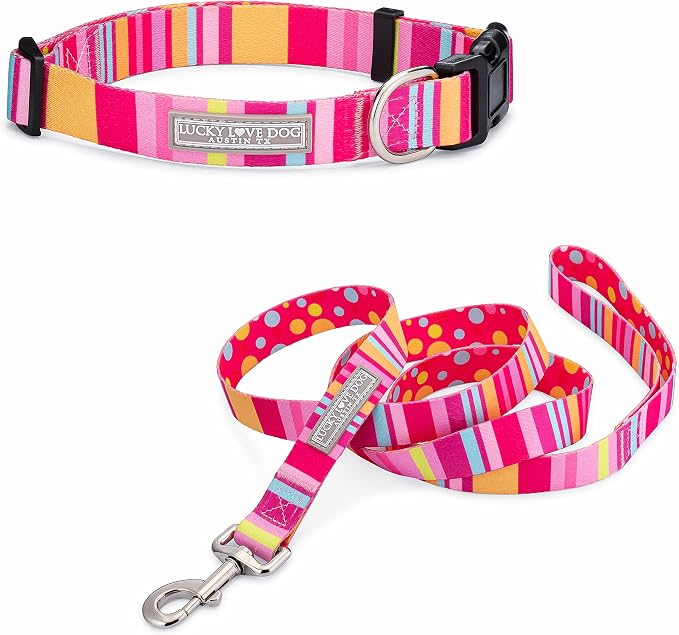 Lucky Love Dog - Easy Click Buckle Dog Collar with Leash Set Combo, Durable & Comfortable for Male & Female Dogs, Pet Collar for Large Dogs, Secure Fit - Molly Combo, Extra Large