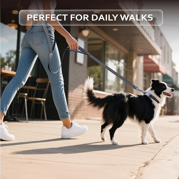 Hands Free Dog Leash,Galaxy Reflective,Crossbody Dog Leash,Black | Galaxy Reflective • Emergency Control Handle • Heavy-Duty Hardware • Multi-Way Wear