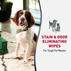 Nature's Miracle Advanced Pet Stain & Odor Eliminating Wipes, 30 Count | Enzymatic Cleaner Eliminates Tough Pet Messes, Quick Clean-Up For Hard Surfaces, Safe For Pets and Home*, Fresh Scent