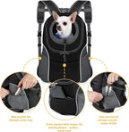 WOYYHO Pet Dog Carrier Backpack Small Dog Front Backpack Ventilated Dog Carrier Back Pack with Storage Pockets, Adjustable Straps & Safety Belt for Travel Hiking Outdoor (Size S: 2-4.5 lbs, Black) | Small Dog Front Backpack, with Adjustable Straps, Saf...