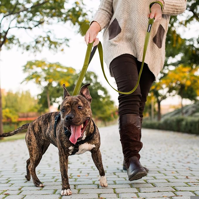 PetiFine 6FT Heavy Duty Dog Leash with Soft Padded Double Handle