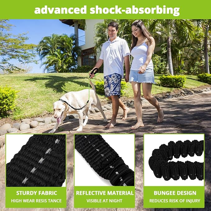 Rope Dog Leash 4 FT: Heavy Duty Leashes with Swivel Lockable Hook Reflective Threads Bungee and Padded Handle - Dog Lead for Large Small Medium Dogs Outside Walking Hiking Green