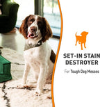 Nature's Miracle Oxy Set-In Stain Destroyer, Dog Odor Control, 24 oz