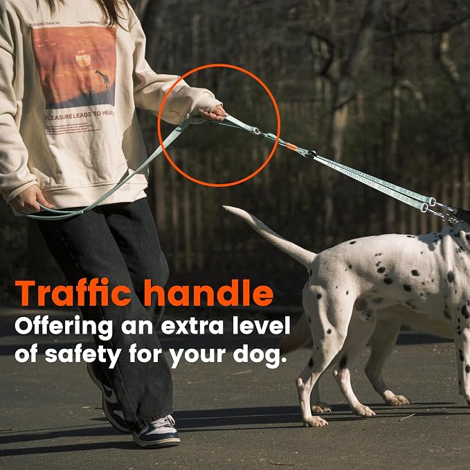 HOWGO Double Dog Leash,Tangle-Free 360 Swivel(Orange, Pro M-L w.Handle) | Individually Adjustable Length, Double Padded Handles,Aviation Aluminum Hooks,Durable Nylon,No-Tangle Walking,All Breeds