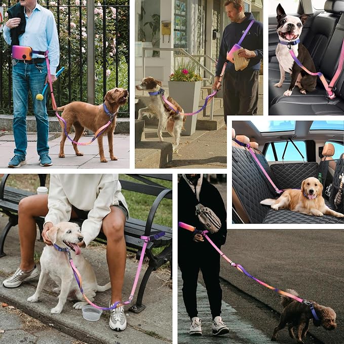 Roses&Poetry Hands Free Dog Leash with Zipper Pouch, 6-9ft Bungee Waist Leash for Medium Large Dogs Walking, Running Lead with Dual Padded Handles Car Safety Buckle for Training Jogging