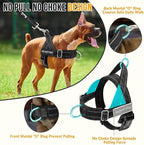 SlowTon No Pull Dog Harness - Heavy Duty Dog Harness and Leash Set for Medium Large Dogs, Reflective Tactical Harness with Soft Padded and Front Clip for Easy Walk and Training (B, S)