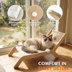 PETKARAY Beach Chair Cat Hammock, Elevated Cat Beds for Indoor Cats, Original Cozy Lounger with Sisal Scratcher and Toy Ball