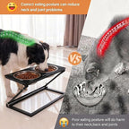 Elevated Dog Bowl, Adjustable Height and Tilt Angle Dog Bowl Stand | Precisely Adjust Height And Tilt Angle, Easy To Clean, Equipped With 2 Stainless Steel Food Bowls, Sturdy And Durable.