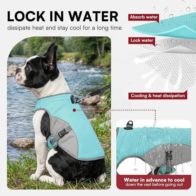 Dog Cooler Vest for Extra Large Dogs, Dog Mesh Cooling Jacket with Reflective Stripe and D Ring, Pet Cooling Vest for Beach, Hiking, Walking, Blue-2XL