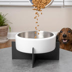 DBL3000E Intersecta Small/Medium Concrete and Stainless Steel Bowl 16oz (2 Cups) with Metal Stand Pet Feeder, White/Black