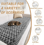 Plush Couch Cover for Dogs Non Slip Pet Sofa Protector, Ultra Soft Washable Couch Cover for Pets, Anti-Slip Backing Furniture Protector for Cats & Dogs, Fits Standard & L-Shape Sofas (3 Sizes)